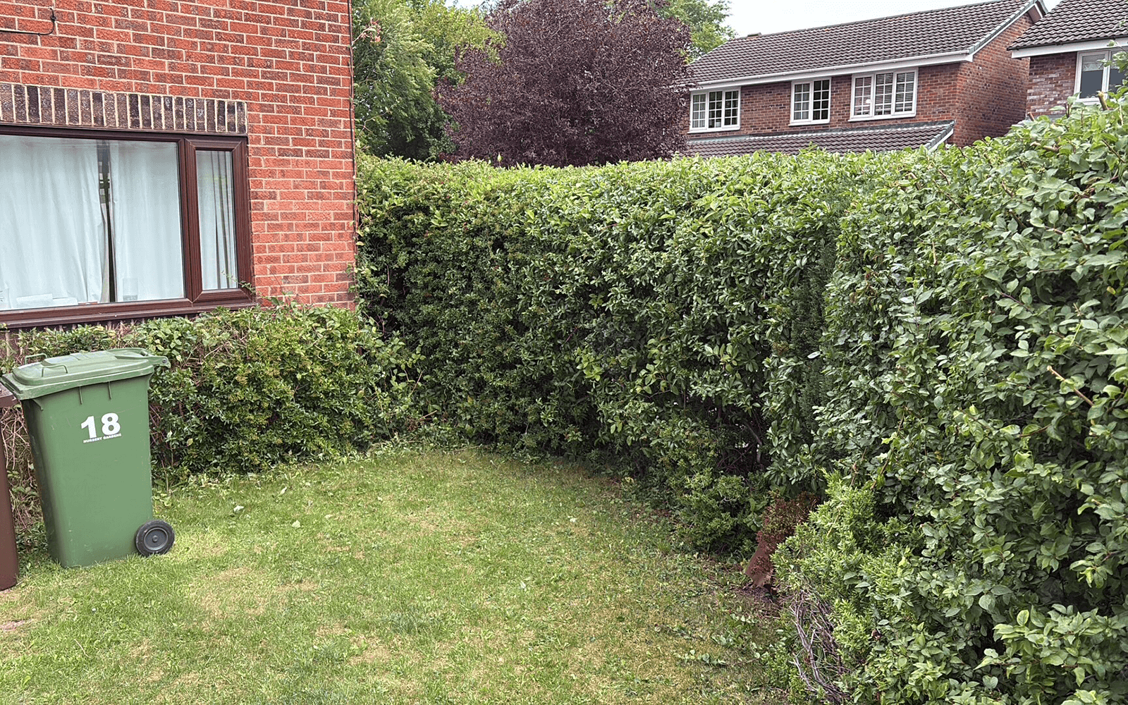 Greenwood Tree Surgery Work