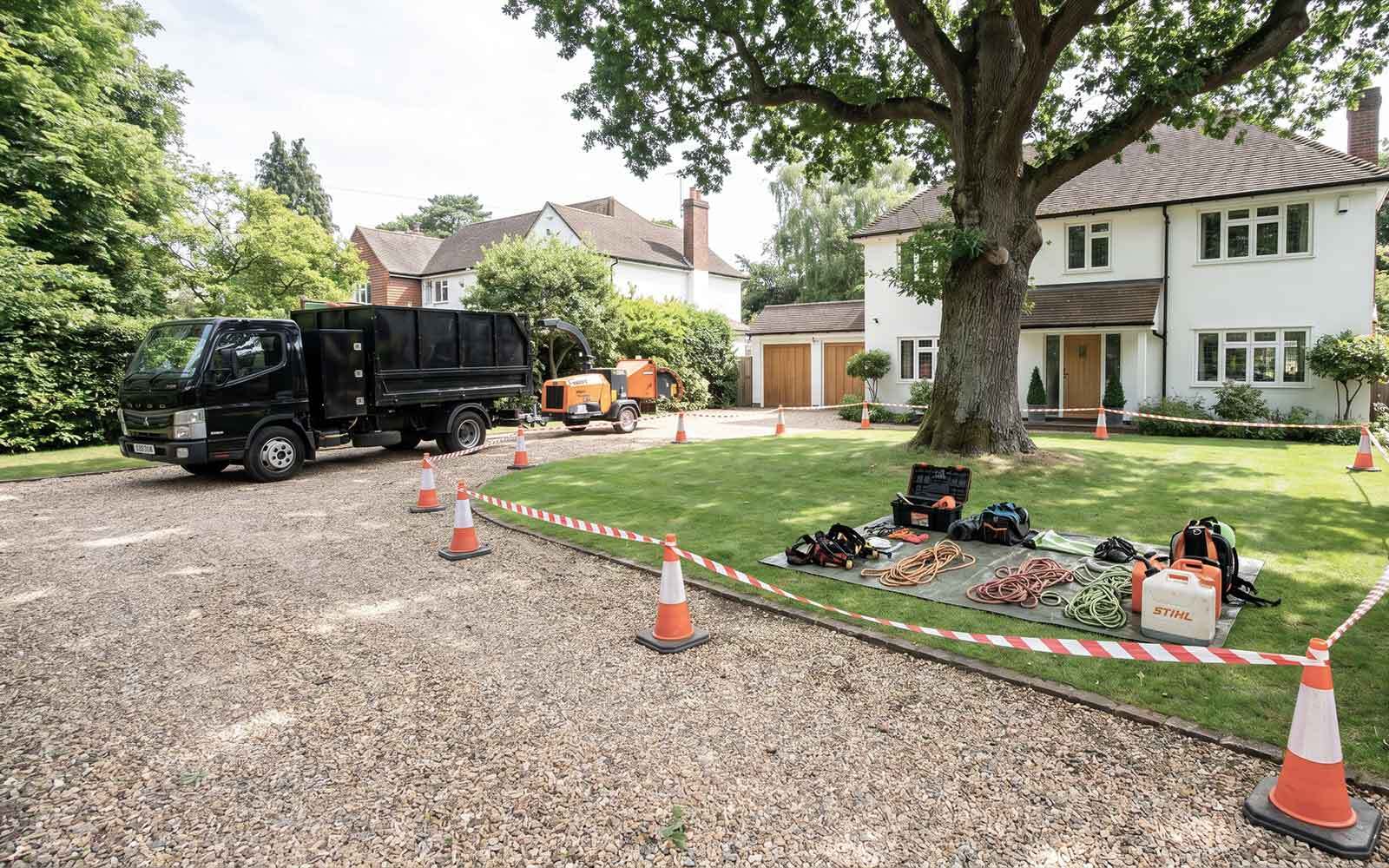 Greenwood Tree Surgery Work